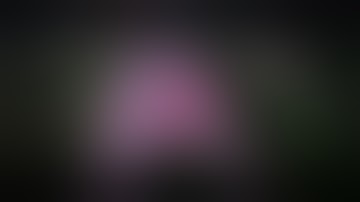 UOG Excepted 3rd merit List 2023