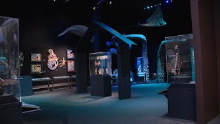 Celebrity COSI features new Mythic Creatures exhibit Net Worth