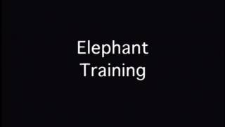 Carson & Barnes Circus Cruelty @ProtectAllWildlife
