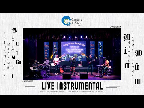 HAMMA HAMMA SONG BY VEENASRIVANI