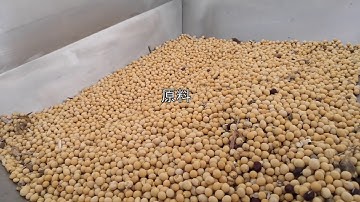 Soybeans color sorter,wesort soybeans color sorter