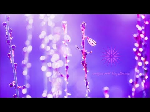 فيروز اسوارة العروس    