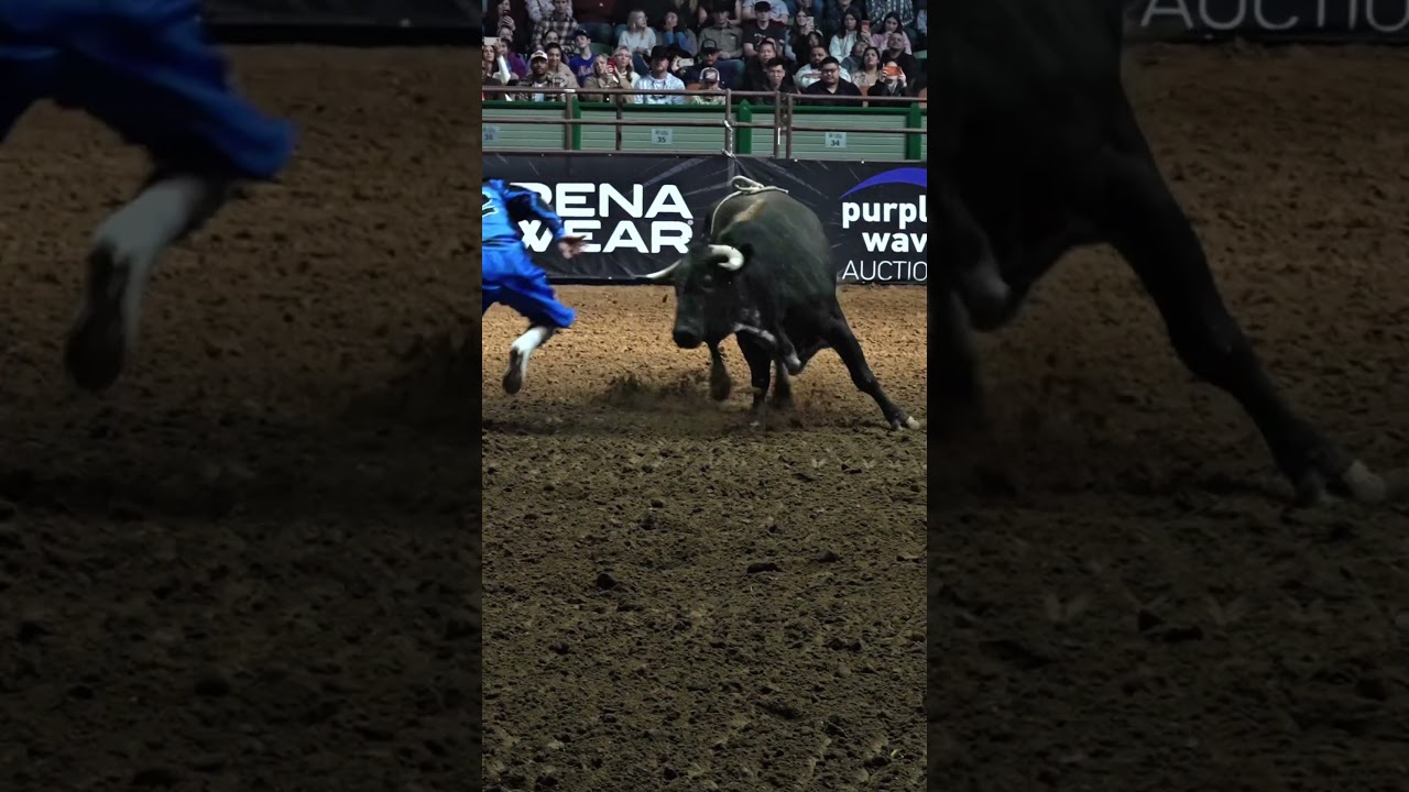 Кайл Шокли набрал 84 очка в корриде на UBF 18 января 