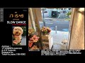 【Tue.06/02/2026 Livecamera at the florist】 スローダンス SLOWDANCE 等々力 尾山台 世田谷 Setagaya 東京 Tokyo 日本 Japan