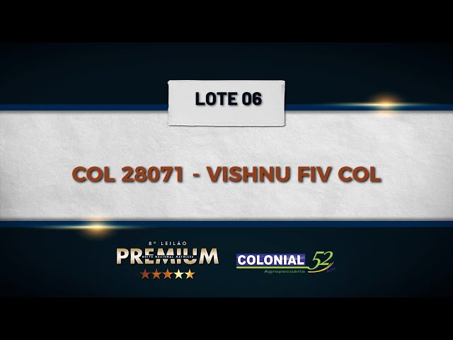 LOTE 06 COL 28071