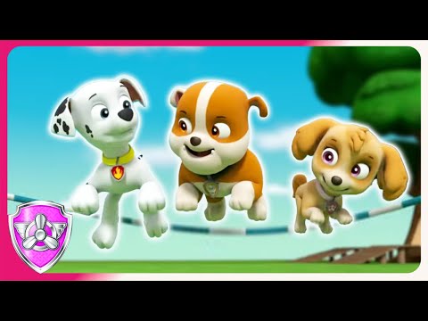 IT'S FUN WITH 1! 2 IS FUN TOO! NOW LET'S SEE WHAT 3 CAN DO! | SKYE - PAW PATROL