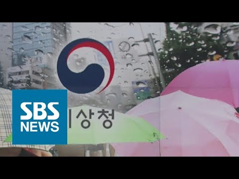 절반도 안 맞는 기상청 예보 / SBS