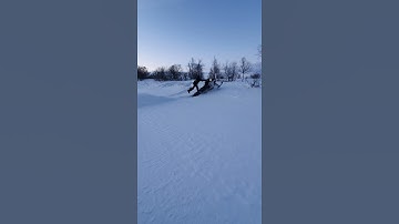 Crazy Marcus!! Polaris 800 Wheelie (FAIL)