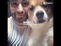 Chris evans and dodger suwalkeracklescavill1218