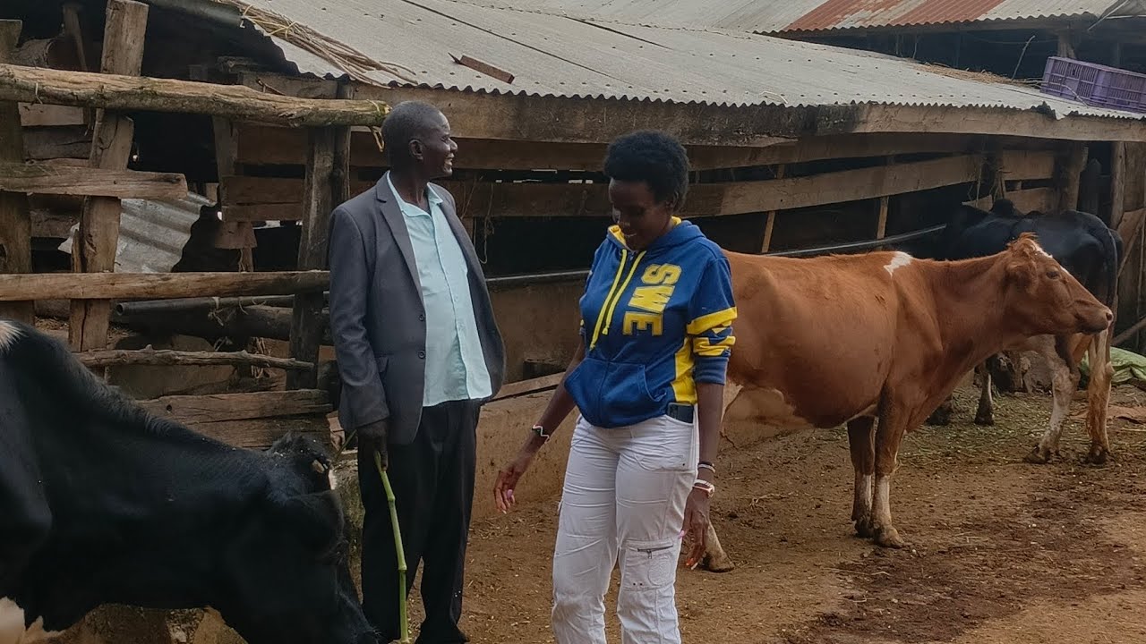 Dairy Farming is the greatest retirement plan