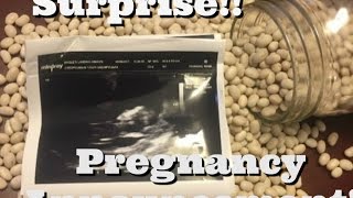Surprise!! Pregnancy Announcement! | Channel update