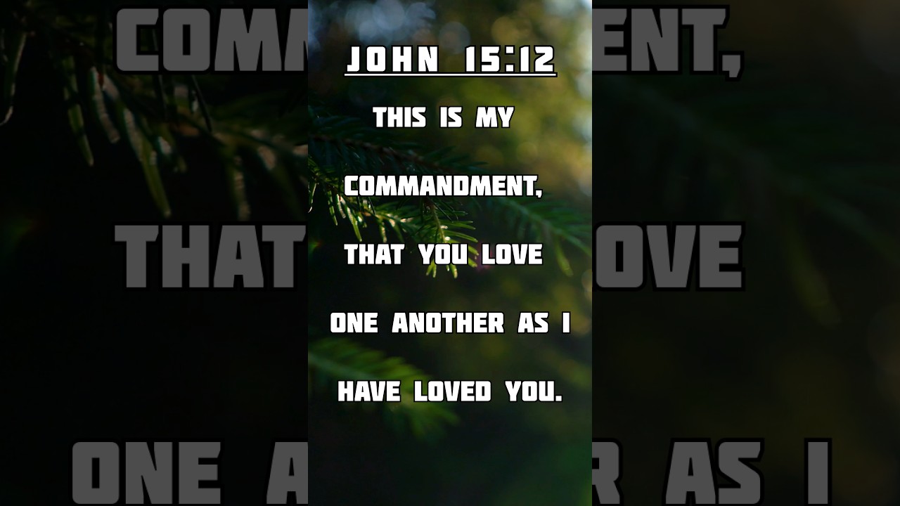 Love One Another | John 