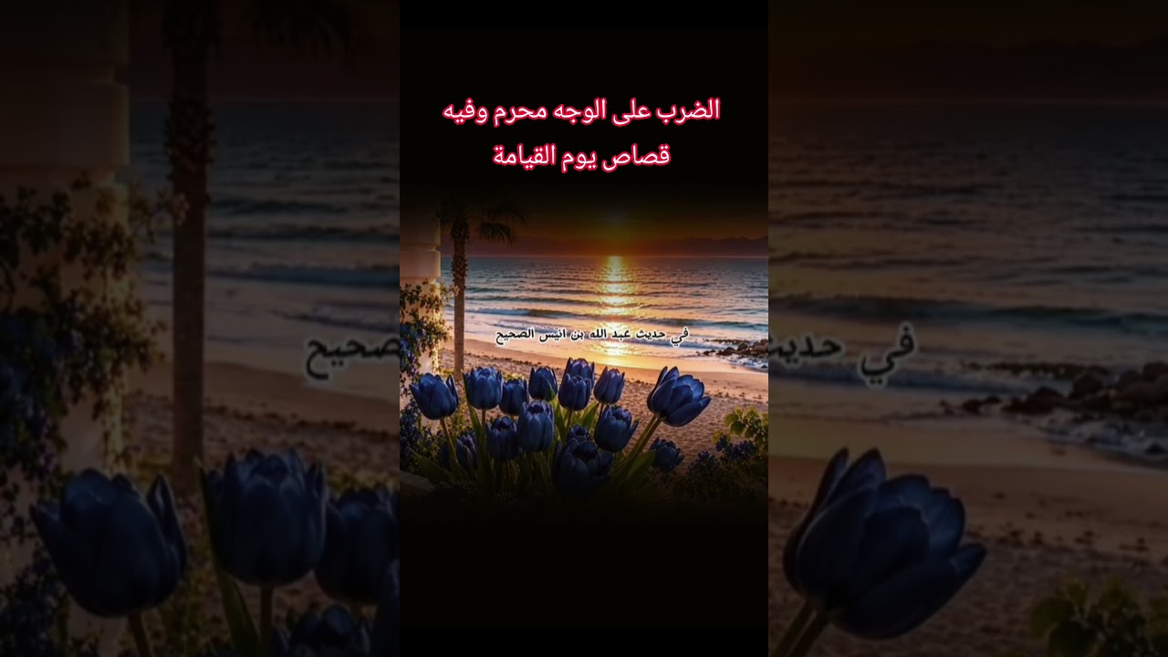 الضرب على الوجه محرم وفيه قصاص يوم القيامة ؟ #اكسبلور #العثيمين #حالات_واتس #تصميمي #دويتو