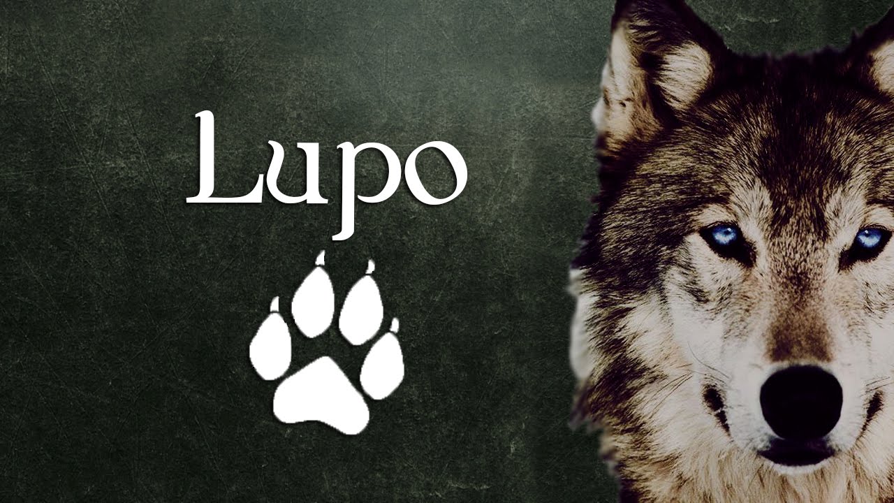 08 - La Medicina del Lupo