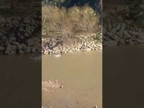 دعاء سيدنا آدم عليه السلام ربنا انا ظلمنا انفسنا وان لم تغفر لنا وترحمنا لنكونن من الخاسرين