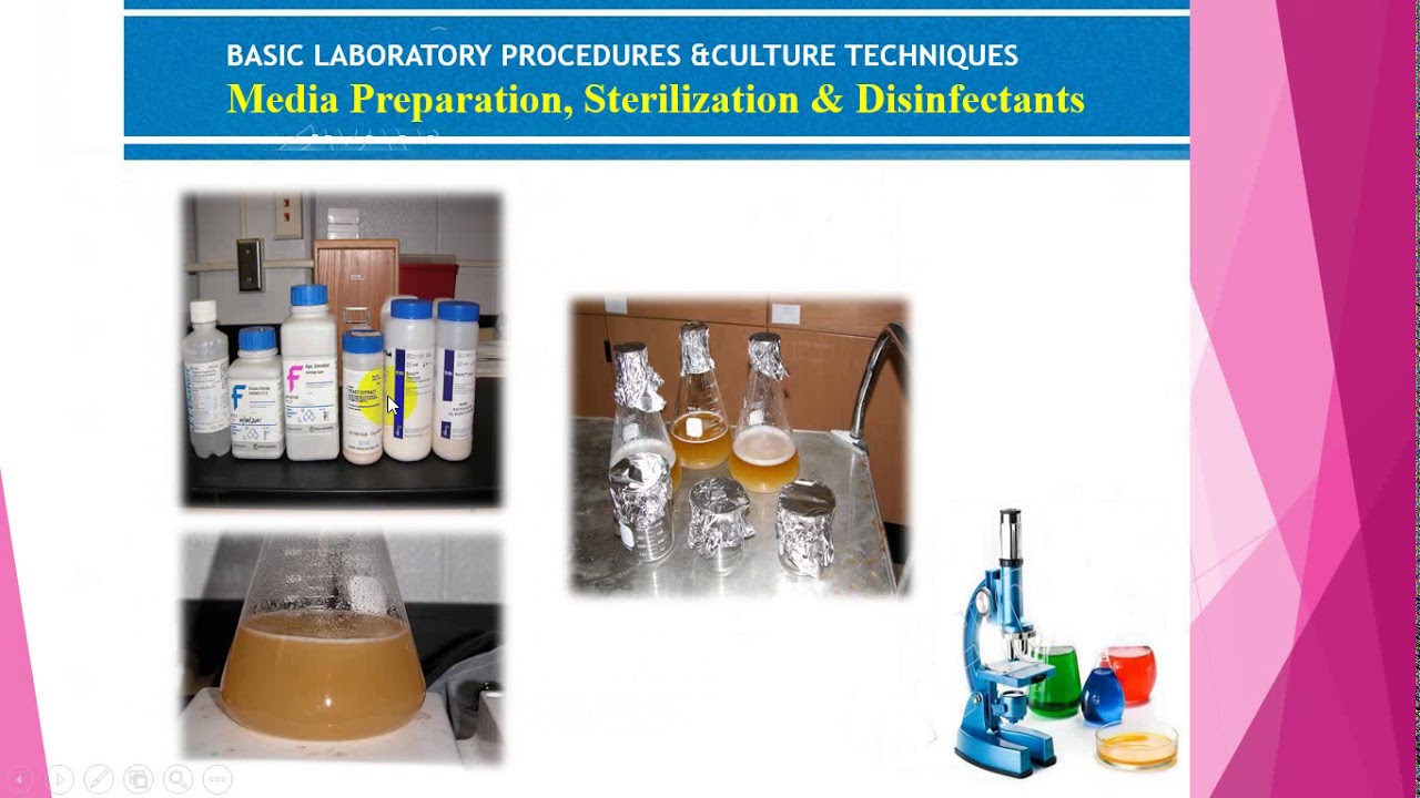 food micro lab 3 - YouTube