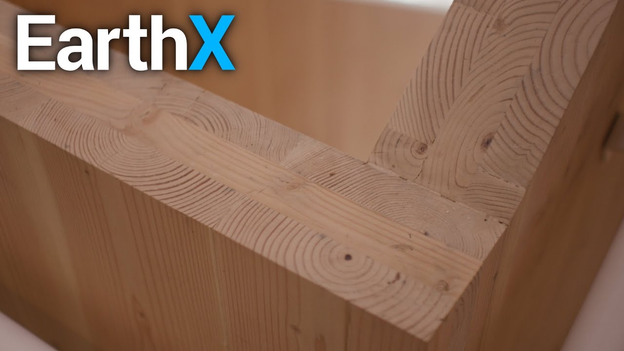 This High-Rise is Made Out of WOOD | America's Forests with Chuck Leavell | EarthX