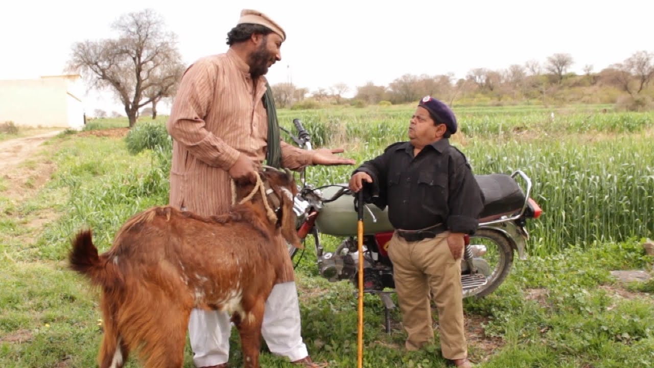 Rishwat khor Police wala - New Pakistani Pothwari Drama By Shahzada ghaffar Full comedy