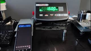 How to Transfer Weighing Data via Bluetooth (Nebula Indicator Demo) | Industrial Weighing Scale
