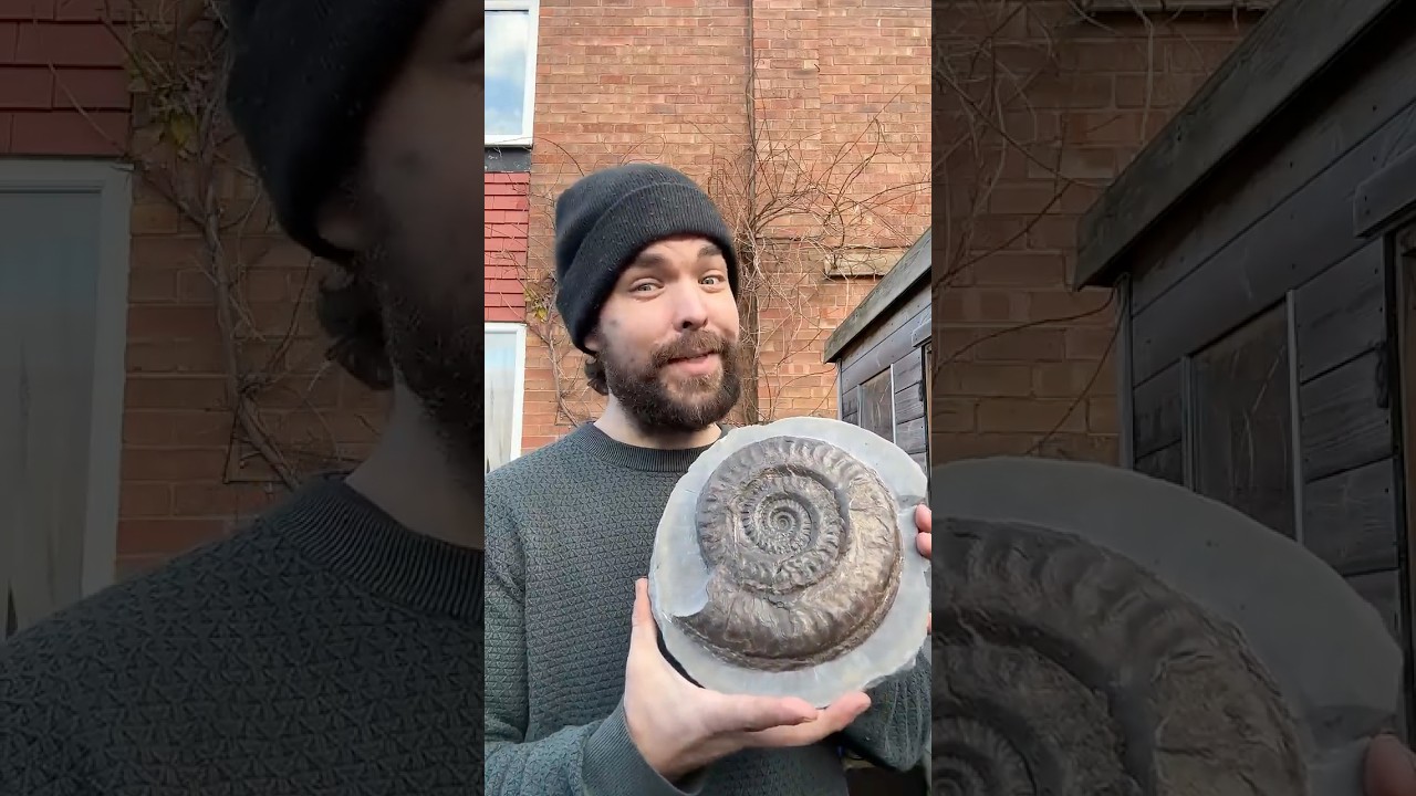 Fossil Hunter Breaks Open Rock To Find Incredible Fossil