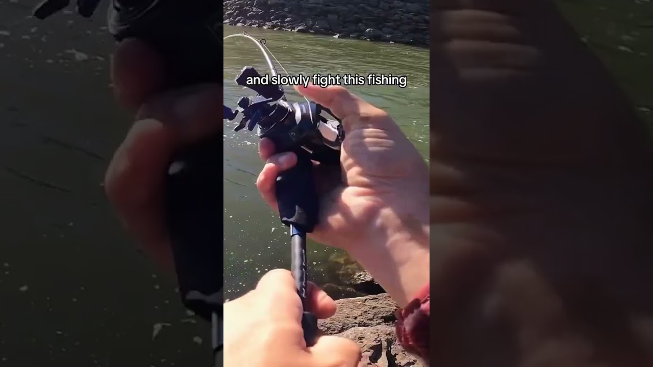 Have you caught a smallmouth buffalo fish before?📹@ryanrigged