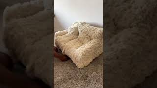 Why I have trust issues with online shopping#fail#temu#onlineshopping#funny#fyp