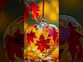 🍂 Autumn Whispers – Cozy Moments and Golden Dreams 🍁