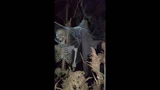 2016 Haunted House at Scott &Kedz Home for Funerals