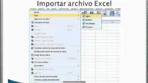Importar archivo Excel a SPSS.avi