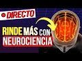 🧠 Neurociencia y Productividad Personal para Rendir Más y Ganar Bienestar ⬆️