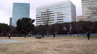 DSCF3764浜離宮で放鷹術.AVI