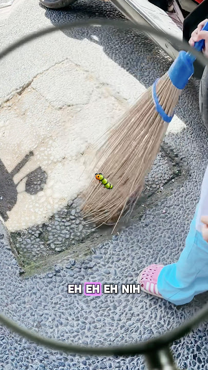 DARLEEN IS BRAVE WITH THE MAMI PANIC CATERPILLAR #shortvideo #funny #trend #trending #viralvideo
