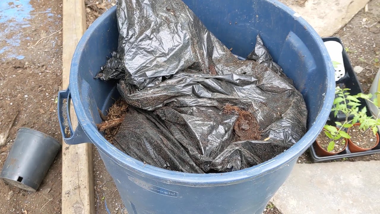Threeyear trashbag leaf compost YouTube