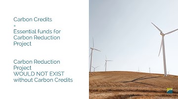 What is Carbon Offsetting?