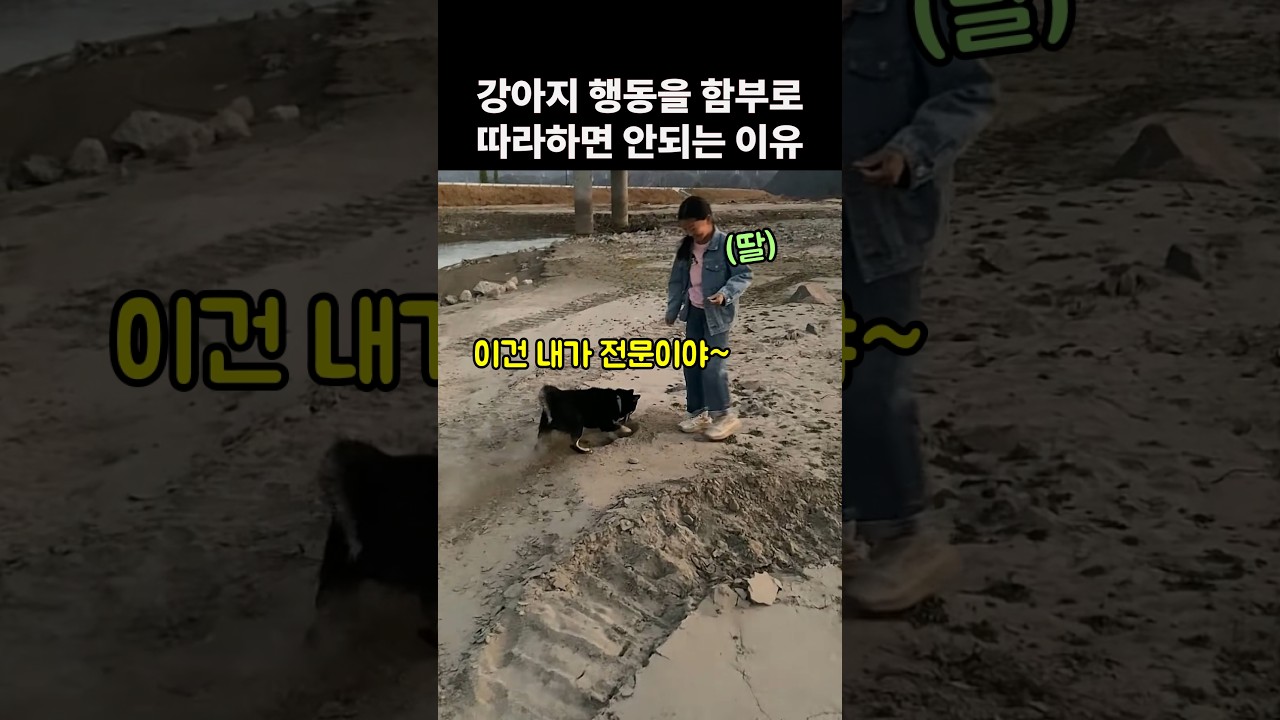 강아지 행동을 함부로 따라하면 안되는 이유