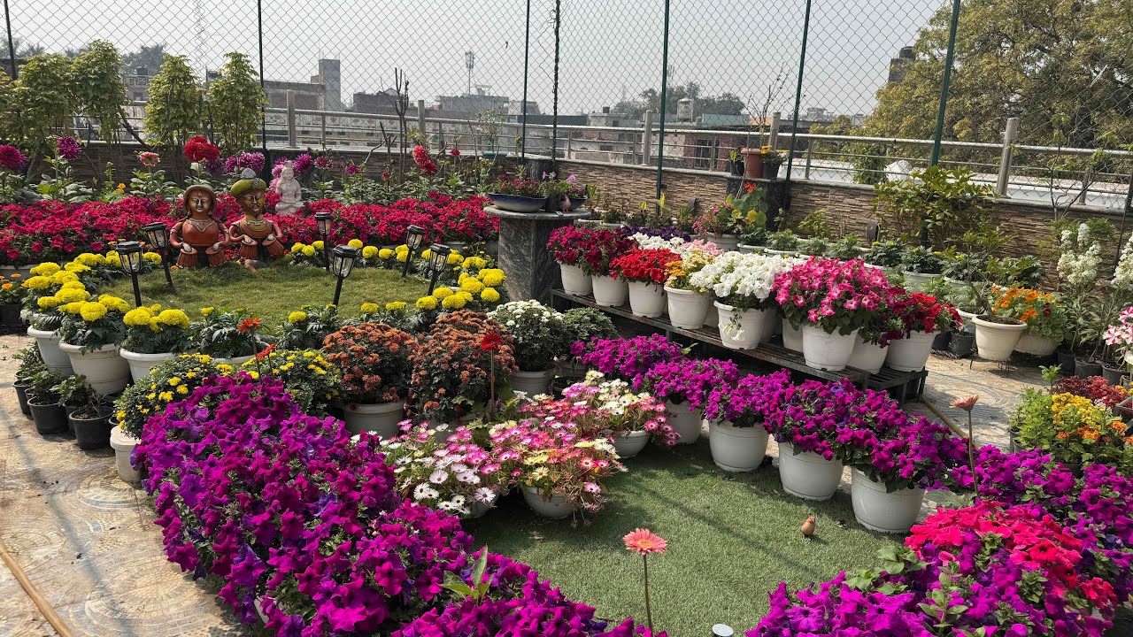 March month garden overview || Sunday garden update 