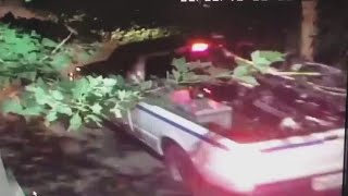Search for bike thief