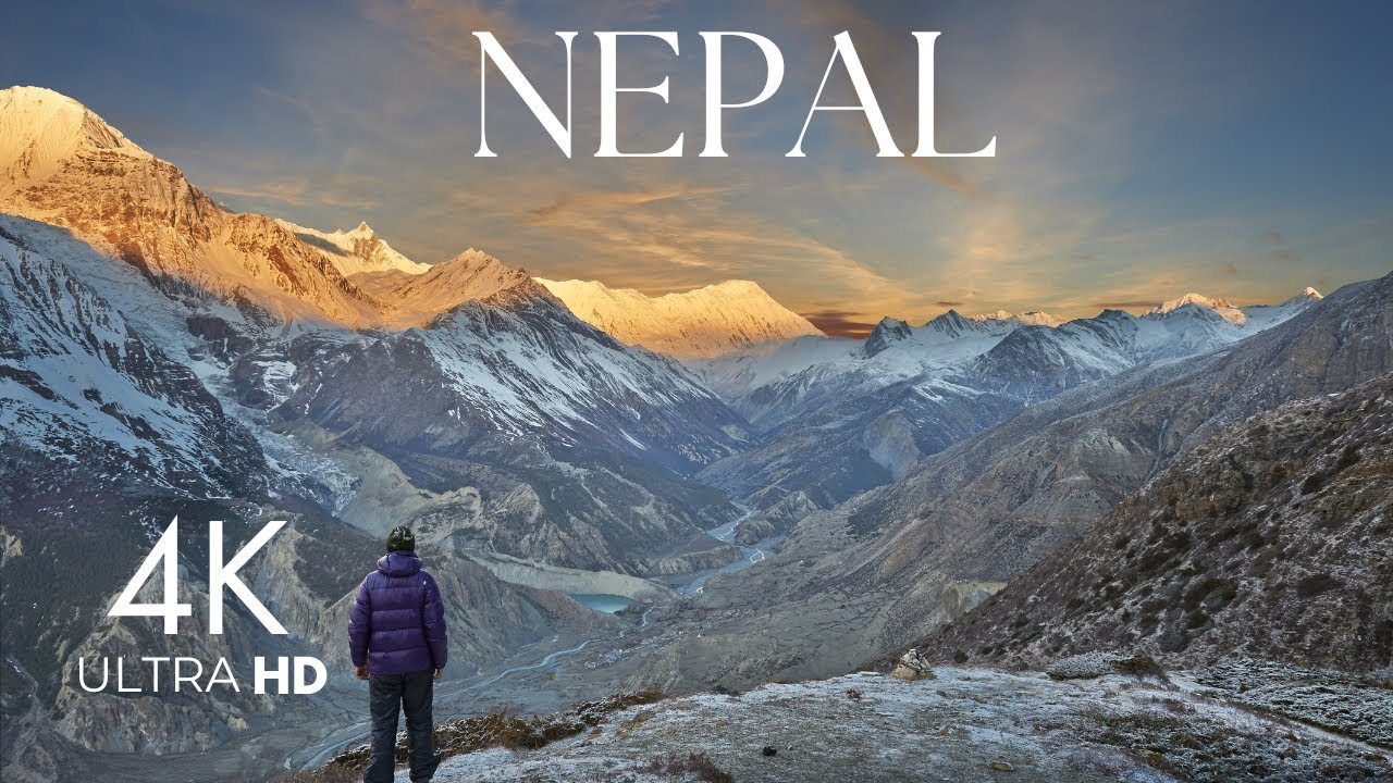 Exploring the Animals of Nepal 4K