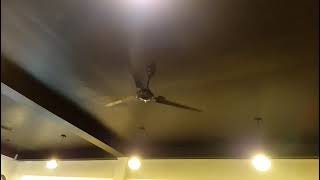 BAJAJ Crest Neo 1200mm Ceiling Fan (Crompton Blades And Krypton Regulator)