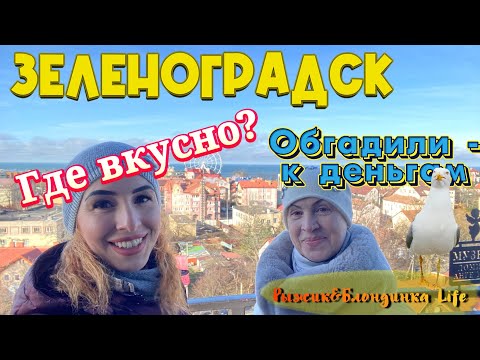 Последний день ЗЕЛЕНОГРАДСК - неблагодарные чайки обгадили😂 СМОТРОВАЯ и МУЗЕЙ КОШЕК👍