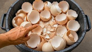 Don’t Throw Away Eggshells Anymore! This Simple Trick Has Saved Me a Lot of Money