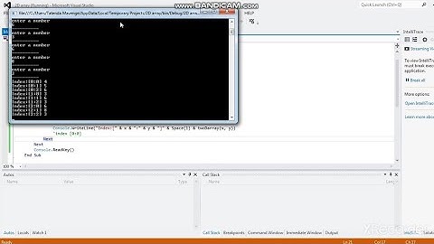 2 Dimensional Arrays in Vb.Net (initialized)