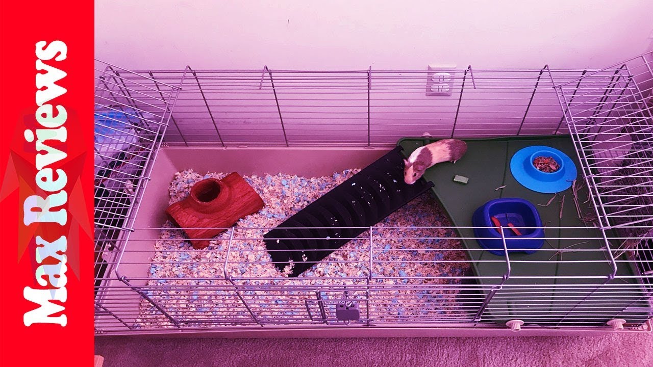 Best Guinea Pig Cage 3 Best Guinea Pig Cage 2023 YouTube