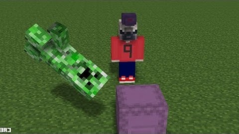 NBT data in spawn eggs