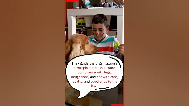 What Are the Duties and Responsibilities of Charity Directors and Trustees in Canada ❓