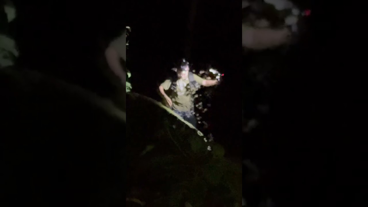 地獄のような撮影!! シロアリの大群