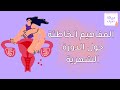 ٣.٧ المفاهيم الخاطئة حول الدورة الشهرية