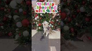 Going Holiday Shopping with Bliss