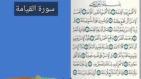 * سوره القيامه * الاستاذ موسى يزيد زعرب