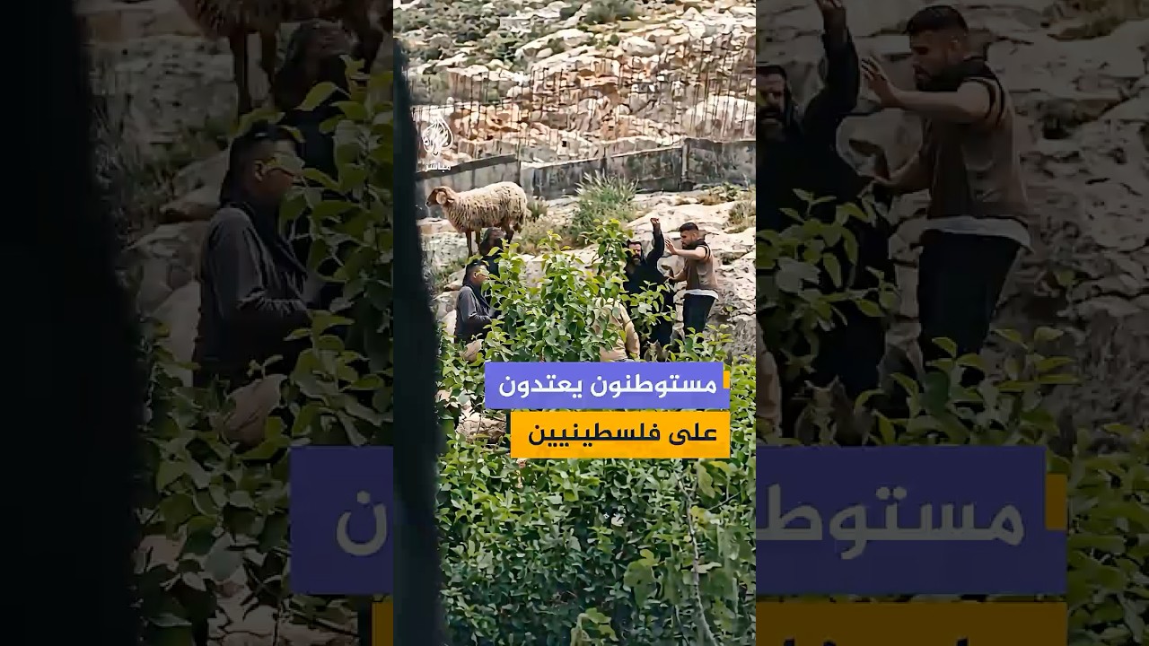 مستوطنون يعتدون على فلسطينيين